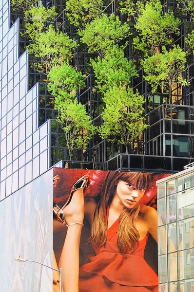 Photograph Mitchell Funk Trees On Fifth Avenue on One Eyeland